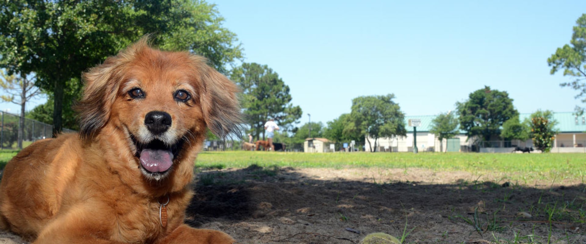 Can I Bring My Pet to a Concert Venue in Central Florida?